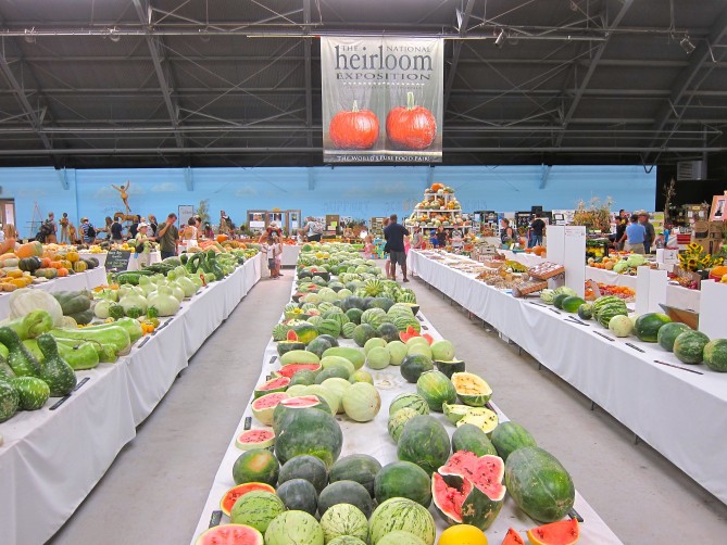 Melon display, Heirloom Expo 2015